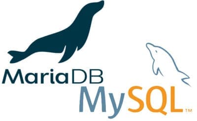 Database servers. MariaDB. MySQL. Database managers.